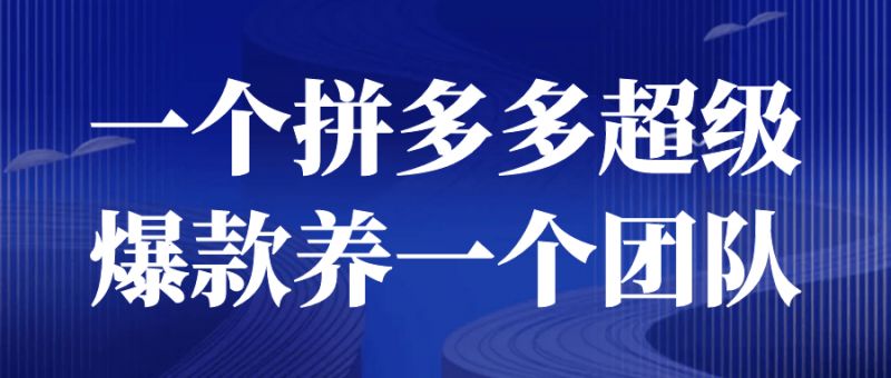  一个拼多多超级爆款养一个团队 课程教程 第1张