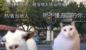  《抖音》huh猫和山羊无水印高清表情包一览 网络杂谈 第7张