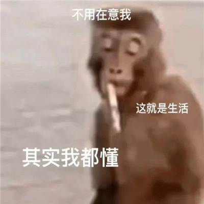  《抖音》吗喽搞笑表情包无水印分享 网络杂谈 第5张