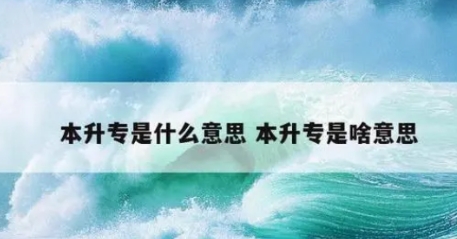  网络用语本升专是什么梗 网络杂谈 第1张