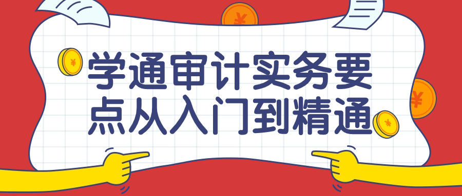  学通审计实务要点从入门到精通课 课程教程 第1张