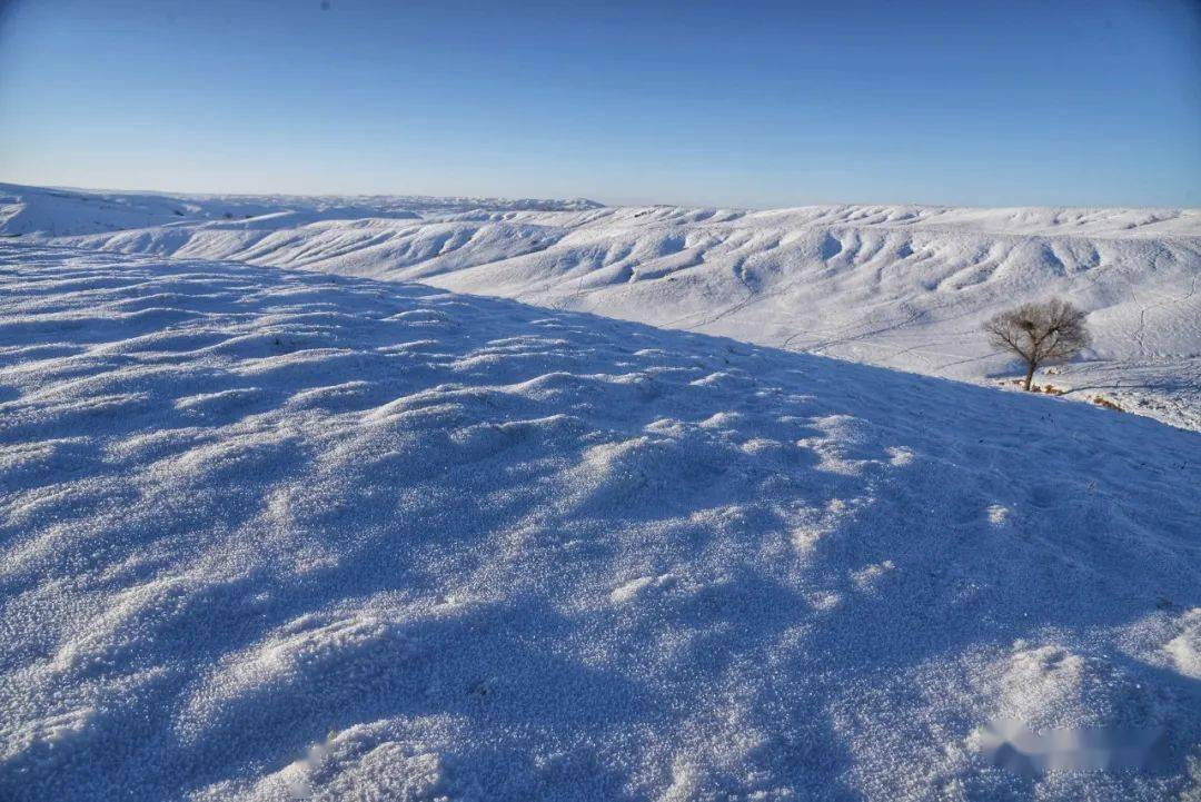 网络用语雪地里藏不住死孩子是什么梗