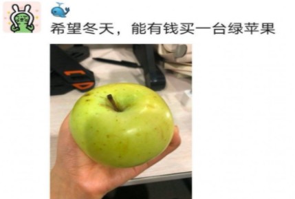 网络用语冬天的第一个苹果是什么梗