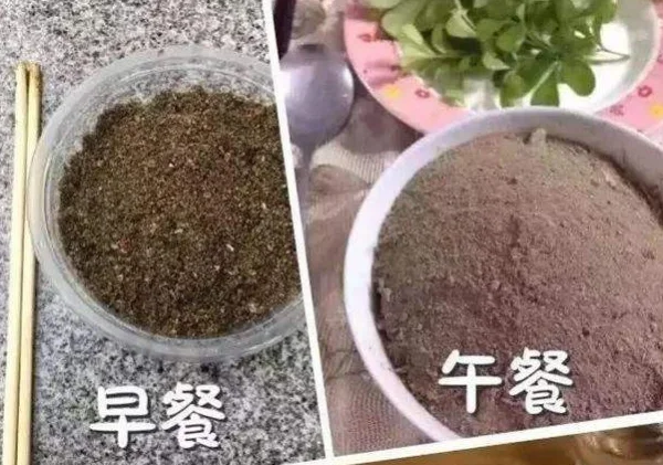  网络用语吃圭人是什么梗 网络杂谈 第1张