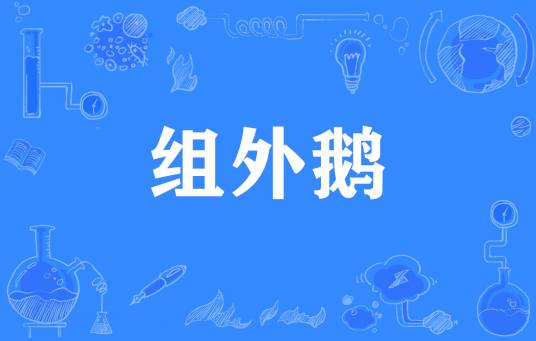  网络用语组外鹅是什么梗 网络杂谈 第1张