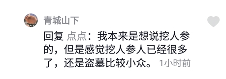  网络用语长白山盗墓是什么梗 网络杂谈 第1张