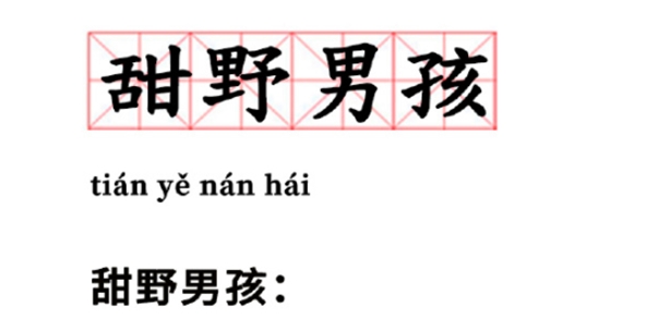  网络用语甜野男孩是什么梗 网络杂谈 第1张